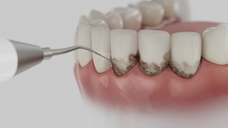Reliable Dental contractor in Contra Costa Centre, CA by Dentist Open Now